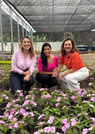 c8fa55b1-ef08-4034-8d2d-31021db2e348