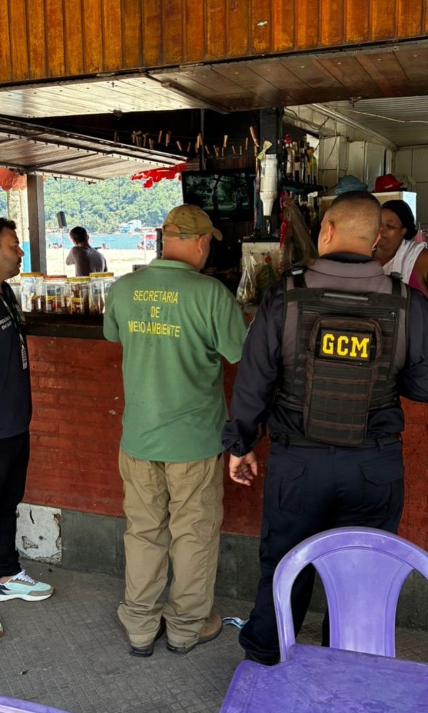 610550323 18500319463073227 3303496584919321388 n 600x1000