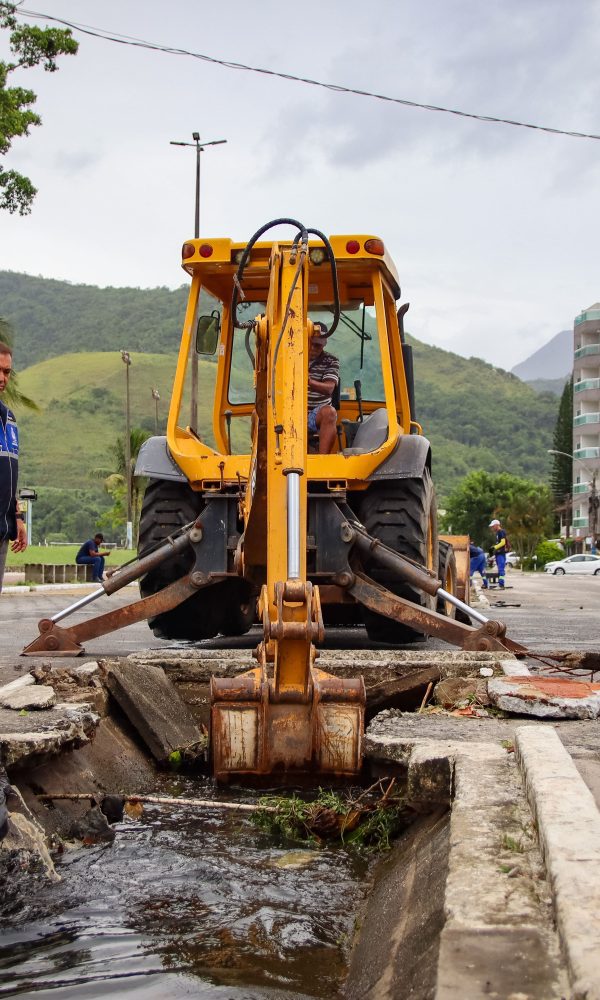 IMG 3250 Copia 1 600x1000