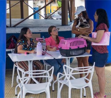 626273058 18505994971073227 3202823628023790572 n 360x320