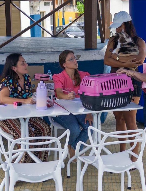 626273058 18505994971073227 3202823628023790572 n 600x781