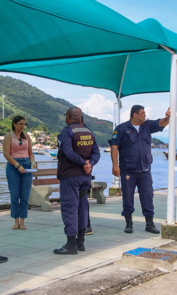 IMG 4826 jpg 600x1000