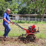 IMG 4915 jpg 150x150