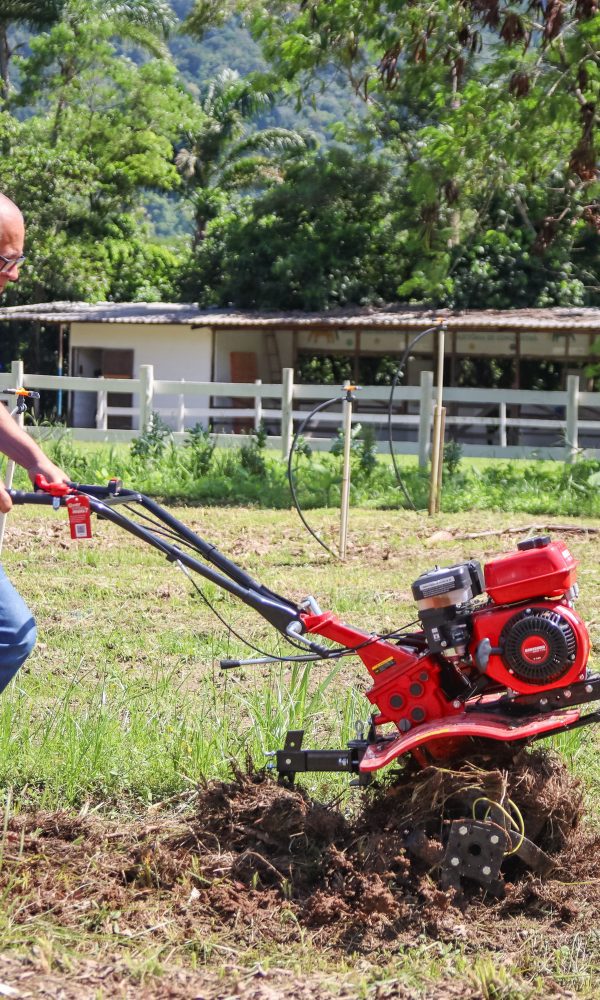 IMG 4915 jpg 600x1000