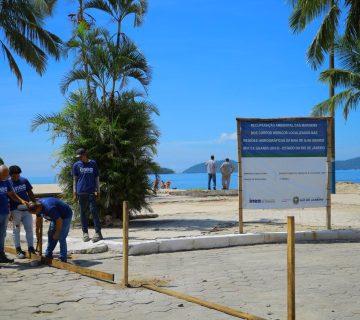 D19e931a 81dc 43e7 b7aa c3729f5de24b 360x320