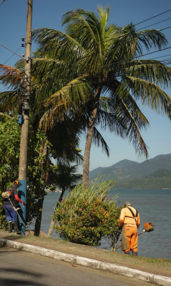 662183234 18519833815073227 9047794436137052482 n 600x1000