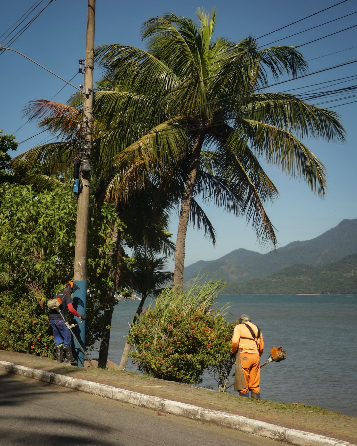 662183234 18519833815073227 9047794436137052482 n